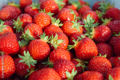 Bright strawberry background from freshly harvesting , from above with greenery, close-up