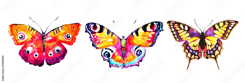 beautiful orange butterflies, watercolor ,isolated  on a white