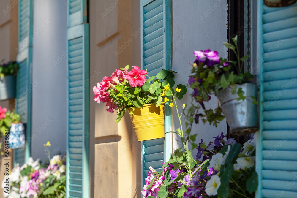 flowers on windowsill. beautiful window with blue shutters and flowers in hanging flower pots in the early morning in the sunlight