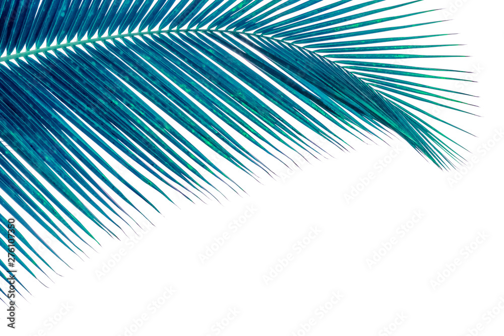 Fototapeta premium abstract background with palm trees