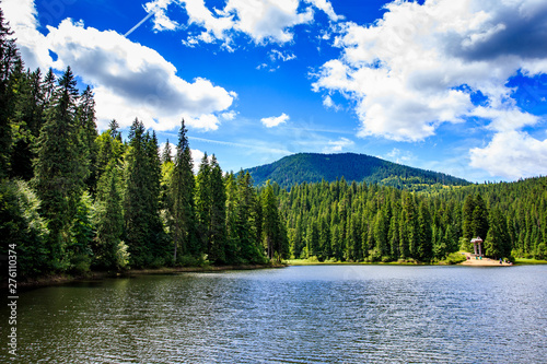 High-mountain forest lake is a bright sky © Tasty Content 