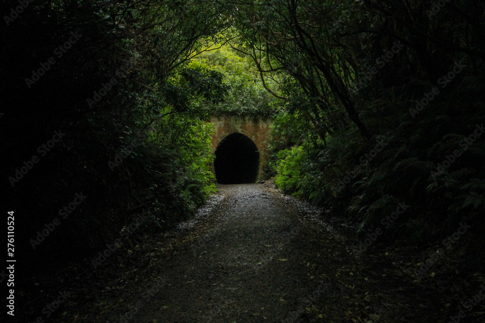 Old Railway Tunnel in New-Zealand
