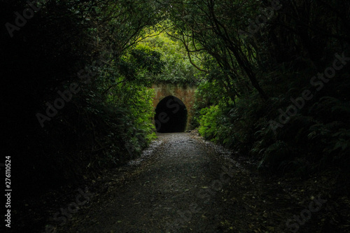 Old Railway Tunnel in New-Zealand