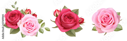 Set of decorative pink roses with buds and leaves.Vintage flowers colletion. Vector illustration photo