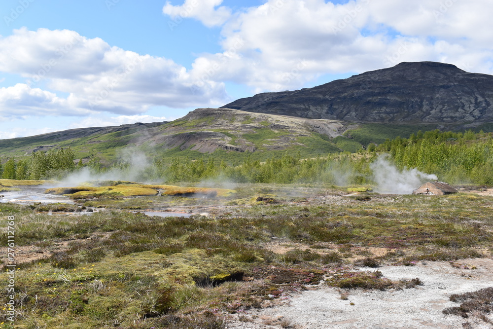 Famous Geysir Gheothermal area with mountains and trees in background   near Reykjavik in at the Golden Circle in Iceland