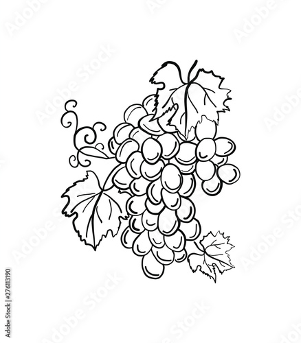 bunch of grapes