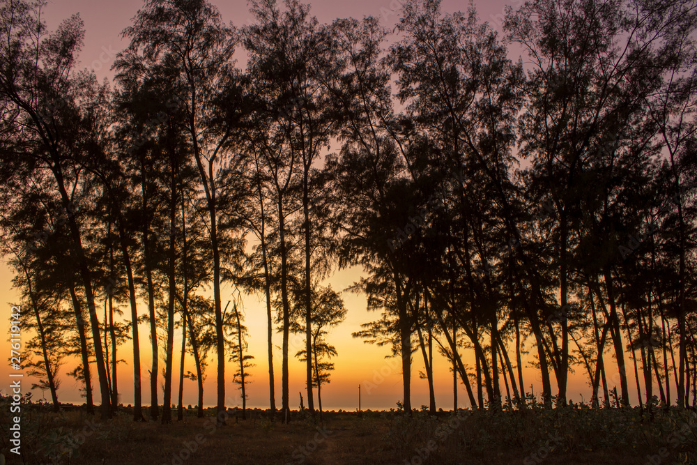 Fototapeta premium evening forest, dark silhouettes of coniferous trees against the background of the sea promenade with tetrapods under a bright yellow pink sunset sky