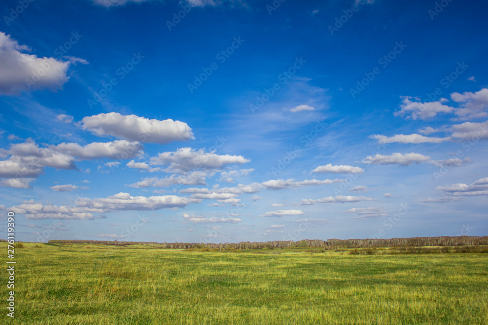 bright summer yellow-green meadow under a blue sky with white clouds