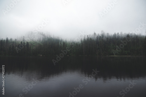 Moody lake and forest in background with solid fog