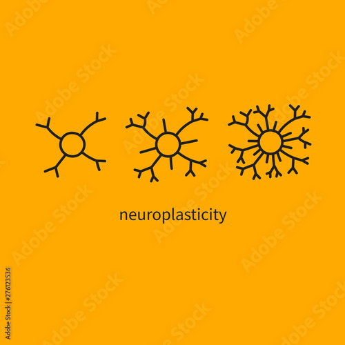 Brain development, mental activity