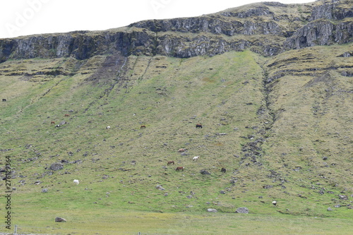 Green landscape with a waterfall in Iceland photo