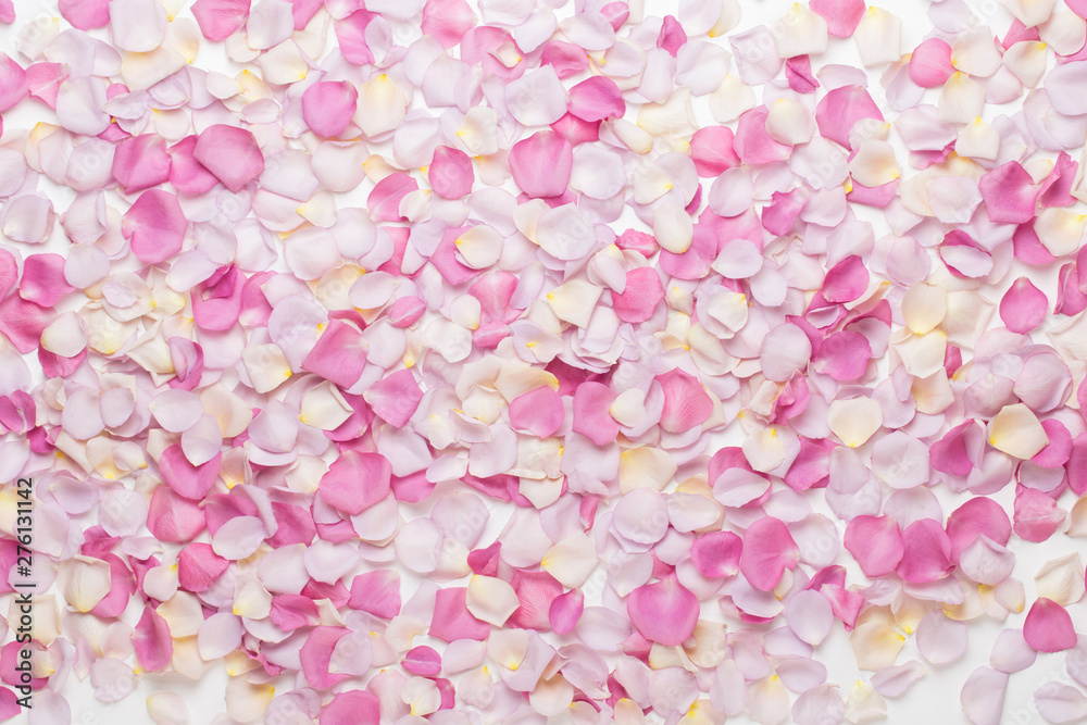 Pink rose flowers petals on white background. Flat lay, top view, copy space. Pink rose flowers petals on white background. Flat lay, top view, copy space.