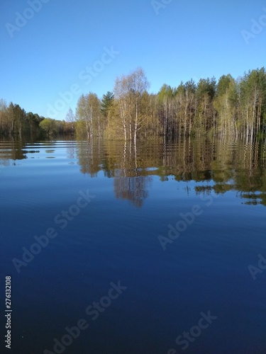 reflection of trees in the water