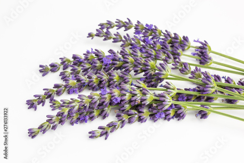 bunch of lavender blossoms - lavandula angustifolia