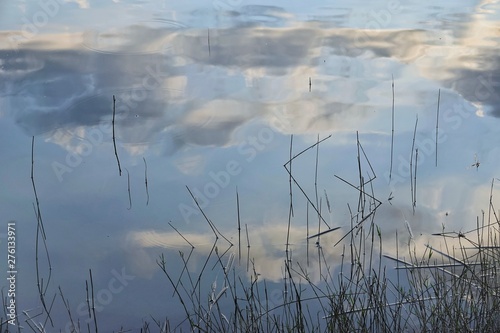 vivid reflective water surface
