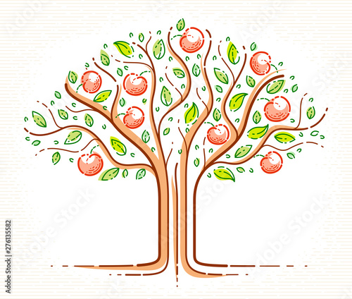 Beautiful apple fruit tree vector linear style drawing logo or icon, perfect drawing.