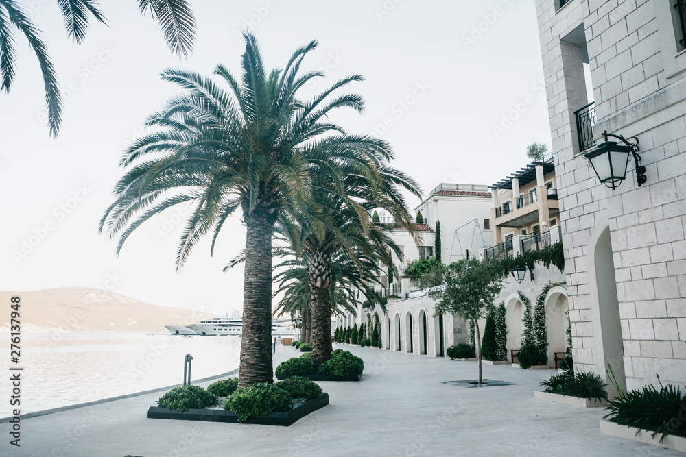 Beautiful view of the embankment or the street with houses and many palm trees in the coastal city of Tivat in Montenegro.