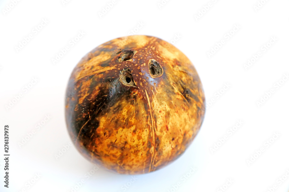 Fototapeta premium Coconut shell in a white background