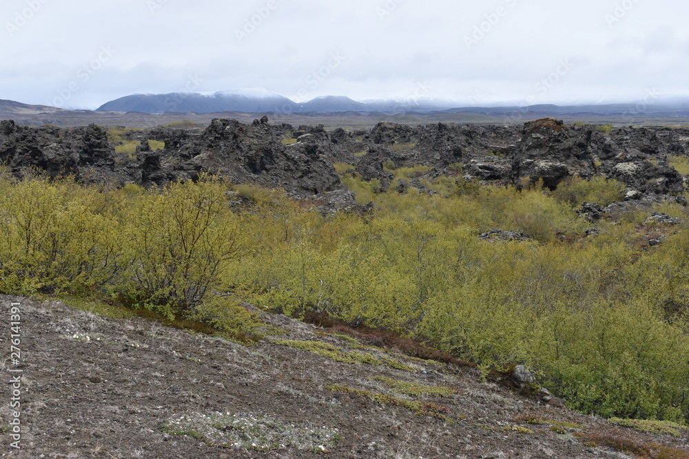 The lava field Dimmu Borgir in Myvatn, Iceland The lava field Dimmu Borgir in Myvatn, Iceland