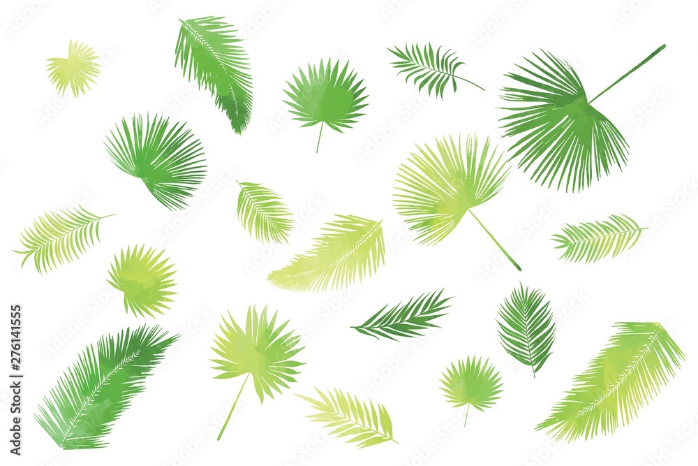 Green palm leaves kit, individual elements on white background Green palm leaves kit, individual elements on white background