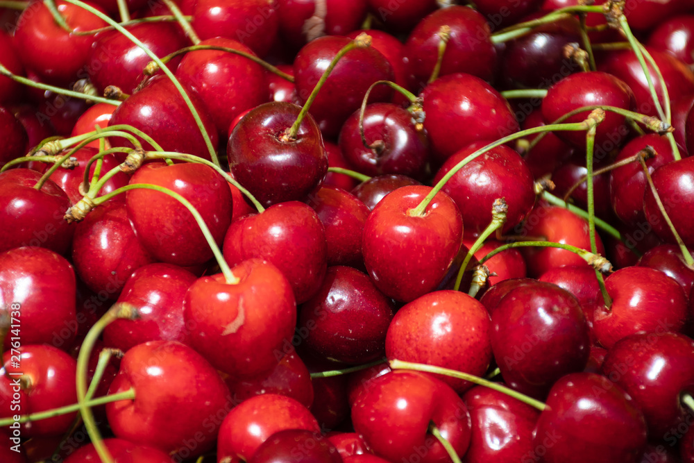 Fresh cherries in a farmer agricultural open air market, seasonal healthy food. Concept of biological, bio products, bio ecology, grown by yourself, vegetarians Fresh cherries in a farmer agricultural open air market, seasonal healthy food. Concept of biological, bio products, bio ecology, grown by yourself, vegetarians