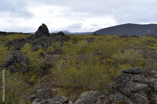 The lava field Dimmu Borgir in Myvatn, Iceland © places-4-you