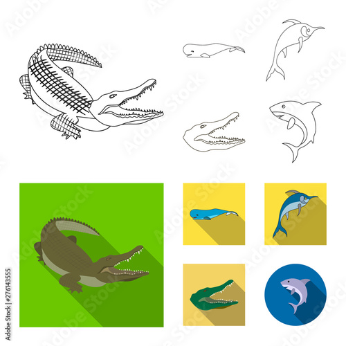 Vector design of sea and ocean logo. Collection of sea and reptiles stock vector illustration.