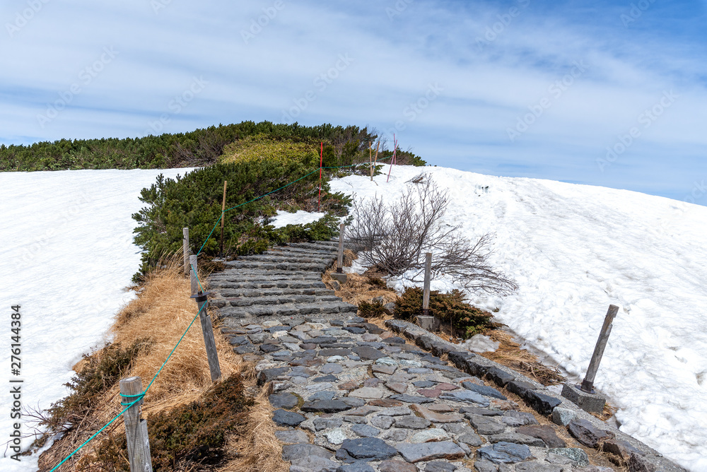Fototapeta premium Nature trail at Murodo on Tateyama Kurobe Alpine Route.