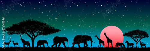 Wild animals in the night African savannah. Silhouettes of wild animals of the African savanna. Wild african animals against the night sky