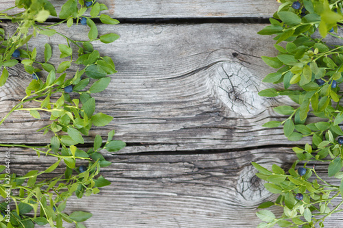 Old wooden gray background with branches of blueberries.