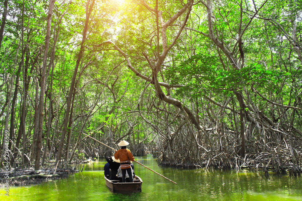 People boating in mangrove forest, Malaysia