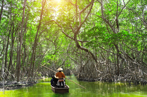 People boating in mangrove forest, Malaysia