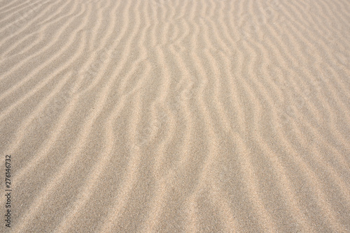 Traces in the sand beach