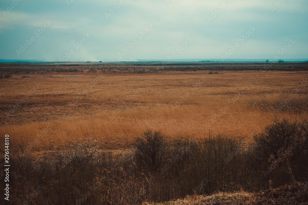 Field, dry grass, sky. Field, dry grass, sky.