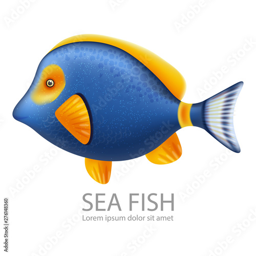 Blue Sea fish Vector realistic isolated on white. Detailed marine life fishs