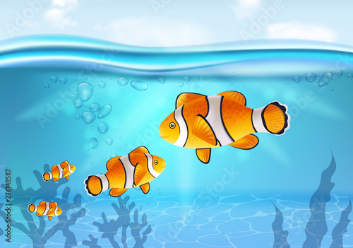 Gold fish underwater Vector realistic. Sea life small fish. Ocean backgrounds