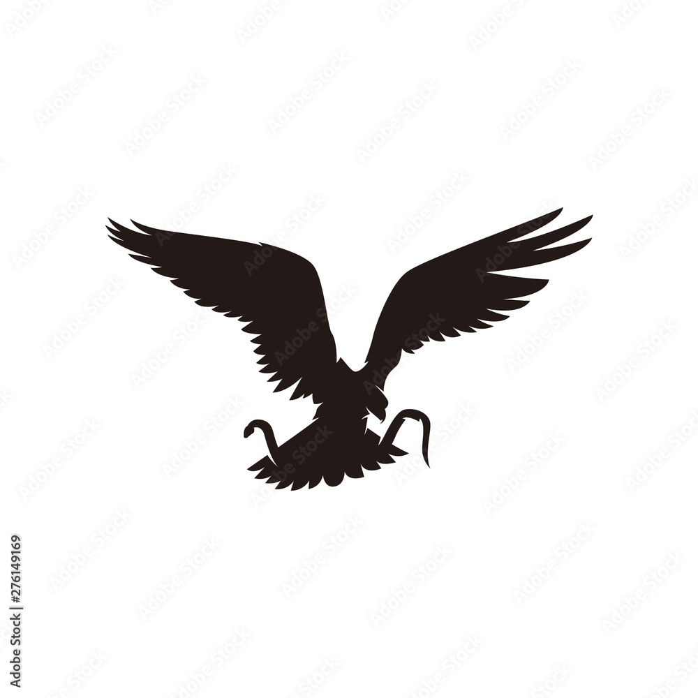 eagle flying eagle flying