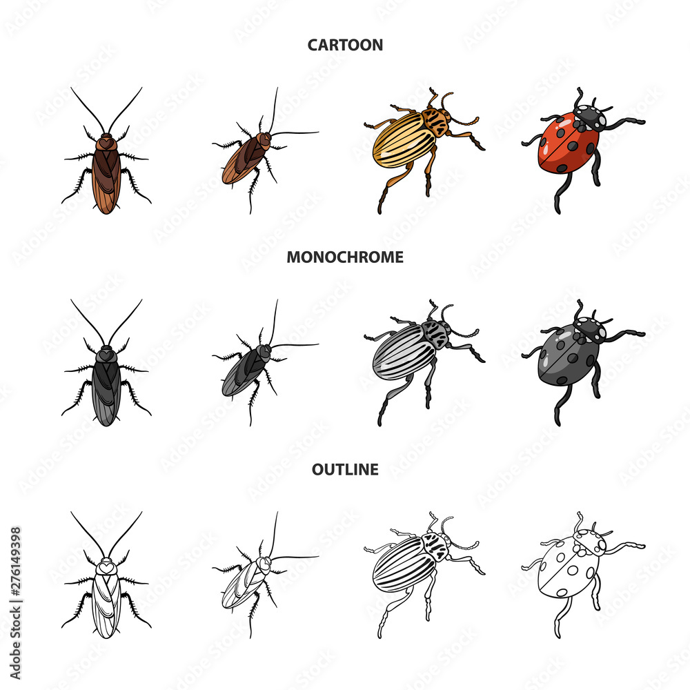 Vector illustration of insect and beetle logo. Set of insect and halloween vector icon for stock. Vector illustration of insect and beetle logo. Set of insect and halloween vector icon for stock.