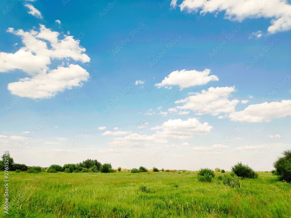 Beautiful nature wallpaper. Scenic summer landscape. Cloudy blue sky and green field