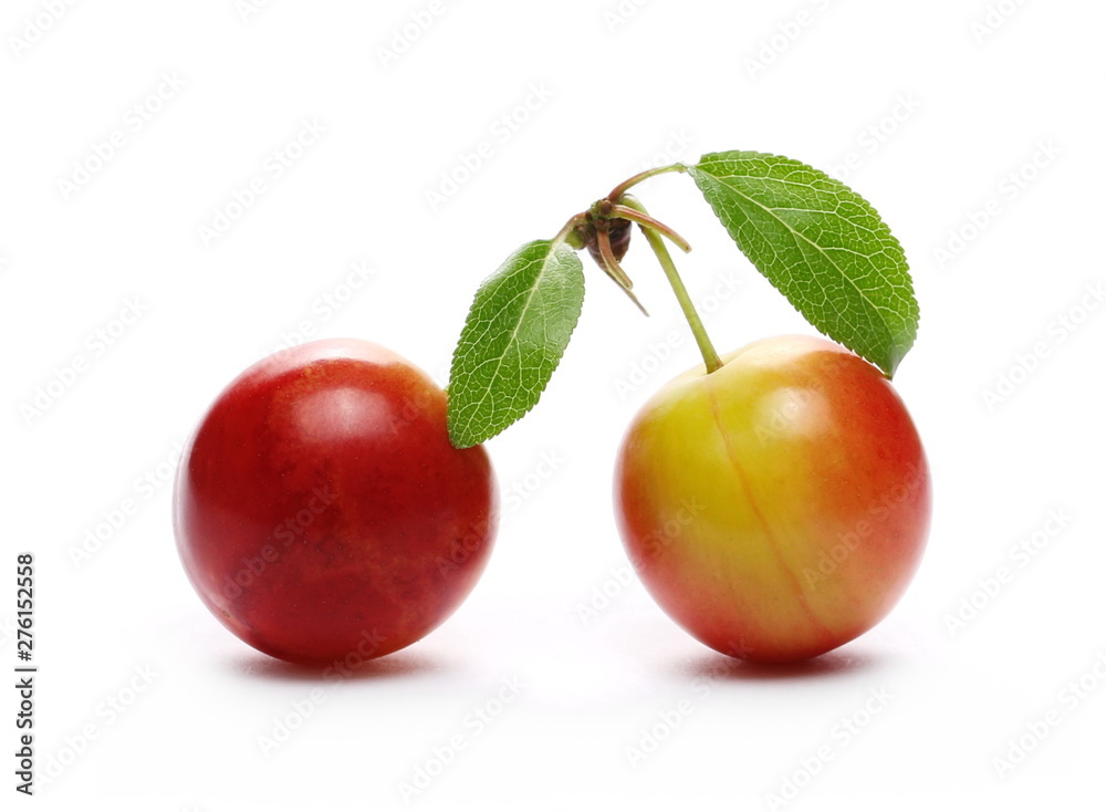 Obraz premium Wild red plums with leaves and twigs, isolated on white background