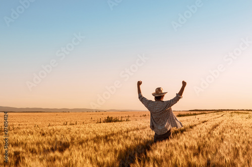 Fotografia Proud happy victorious wheat farmer with hands raised in V