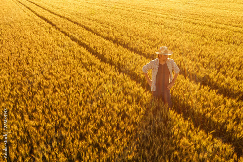 Aerial view of farmer standing in golden ripe wheat field