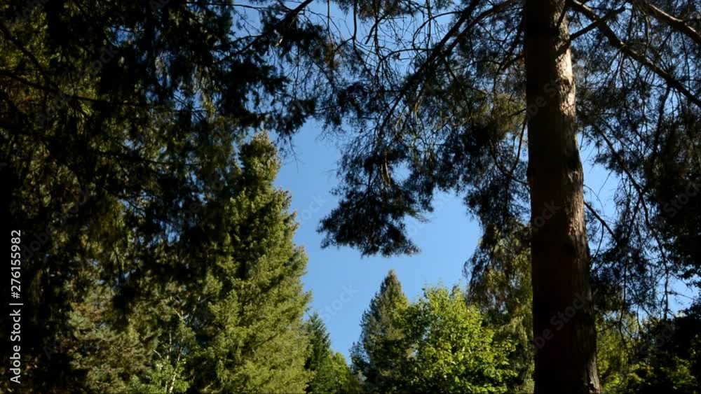 Late Summer Impressions from a Berlin Park of August 28, 2016, Germany Late Summer Impressions from a Berlin Park of August 28, 2016, Germany