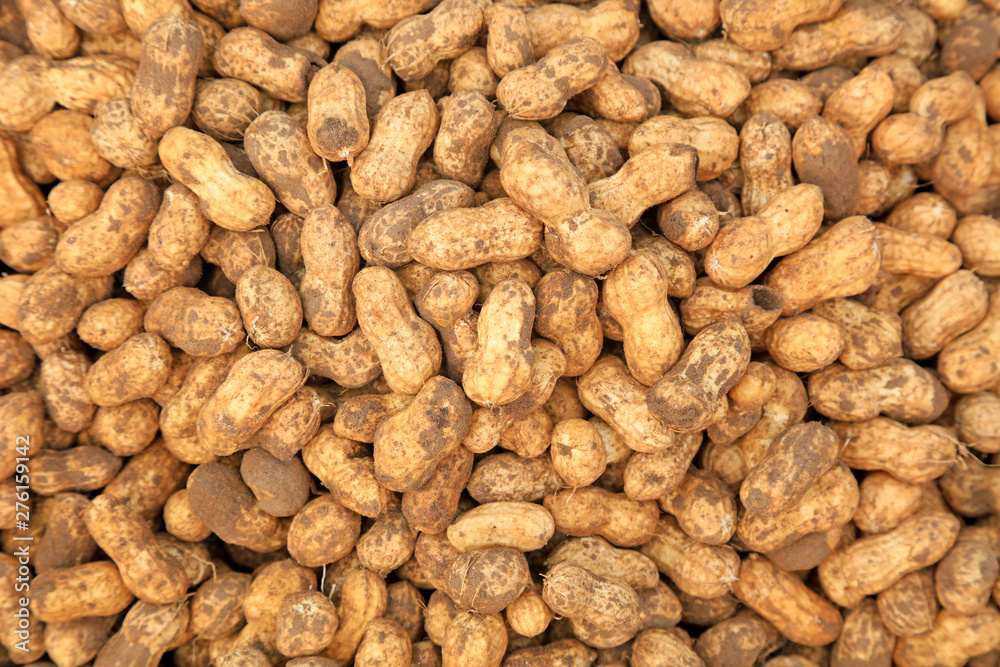 Peanut fruit Peanut fruit