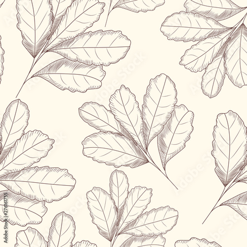 Engraved style leaf seamless pattern. Hand drawn vector illustration. D © smth.design