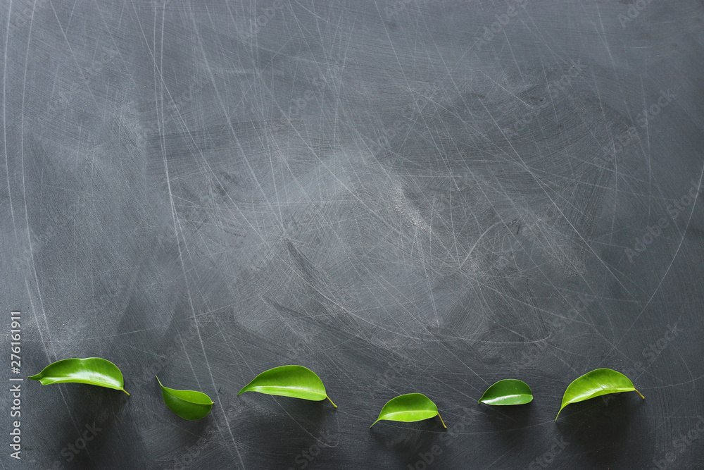 education and business concept. Top view banner of green leaves over classroom  blackboard background Stock Photo | Adobe Stock
