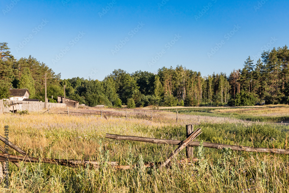 Obraz premium Country landscape. Farm field. Grass field with forest background. Land dry grass. Village photography. 