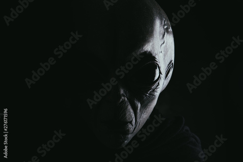 Alien creature has a message for humans. Grey kind humanoid from an other planet portrait series. photo