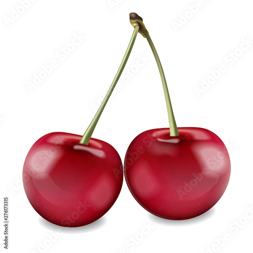 Cherry fruit Vector realistic isolated on whites. Detailed 3d illustrations