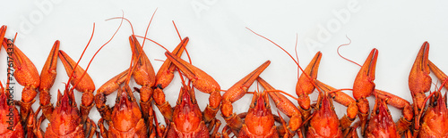 Fotografiet Panoramic shot of red lobsters heads on white background